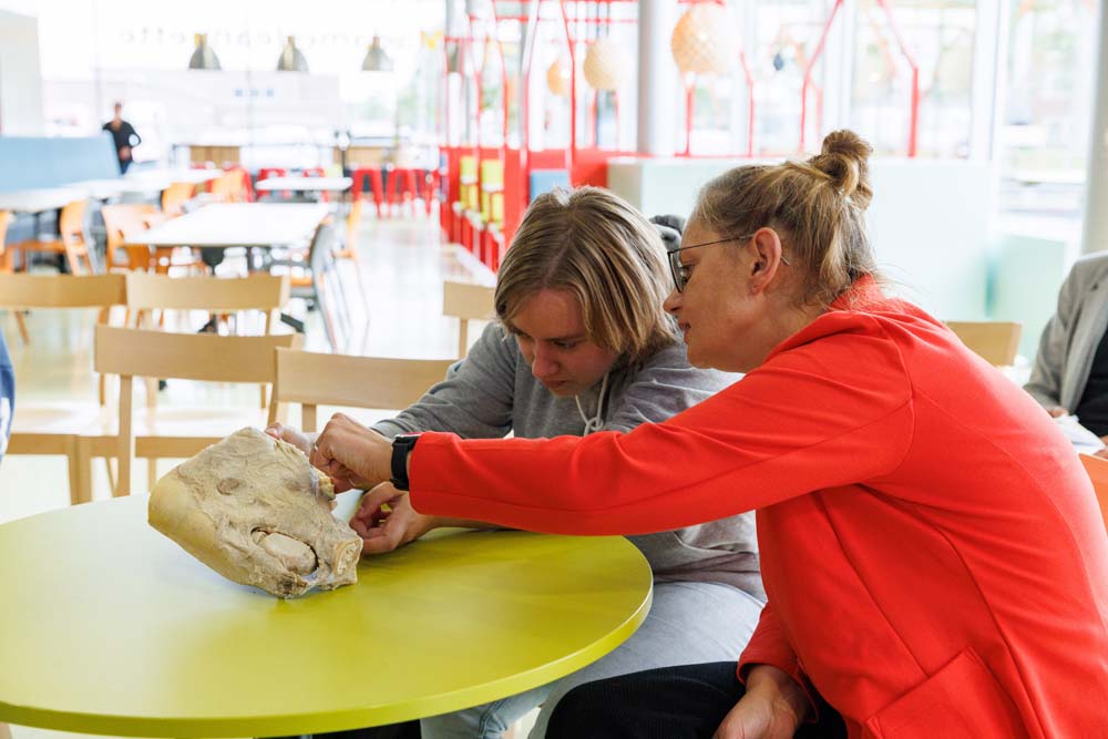 05-10-2022: Drieluik Diergeneeskunde